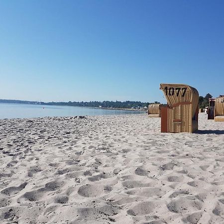 Zwergtaucher Eckernförde Buitenkant foto