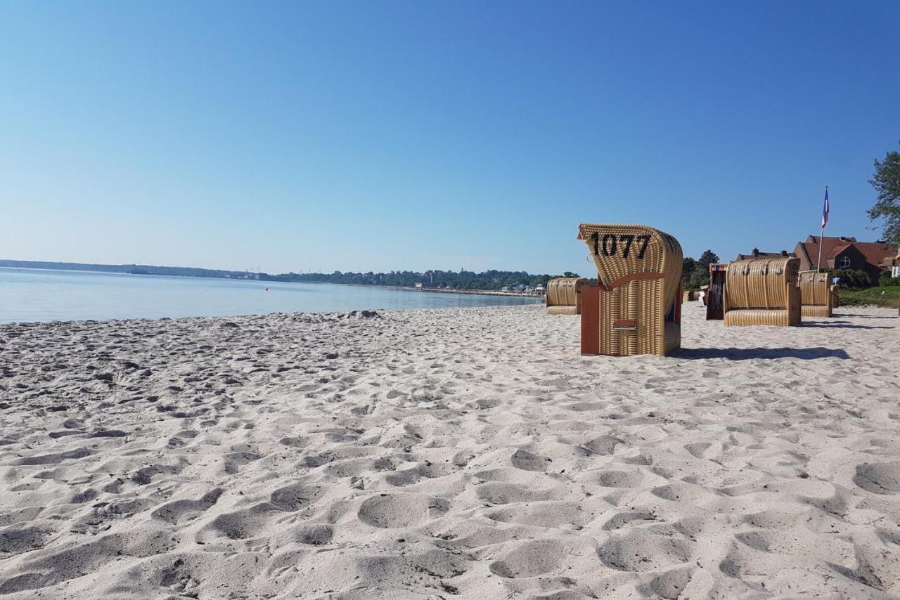 Zwergtaucher Eckernförde Buitenkant foto